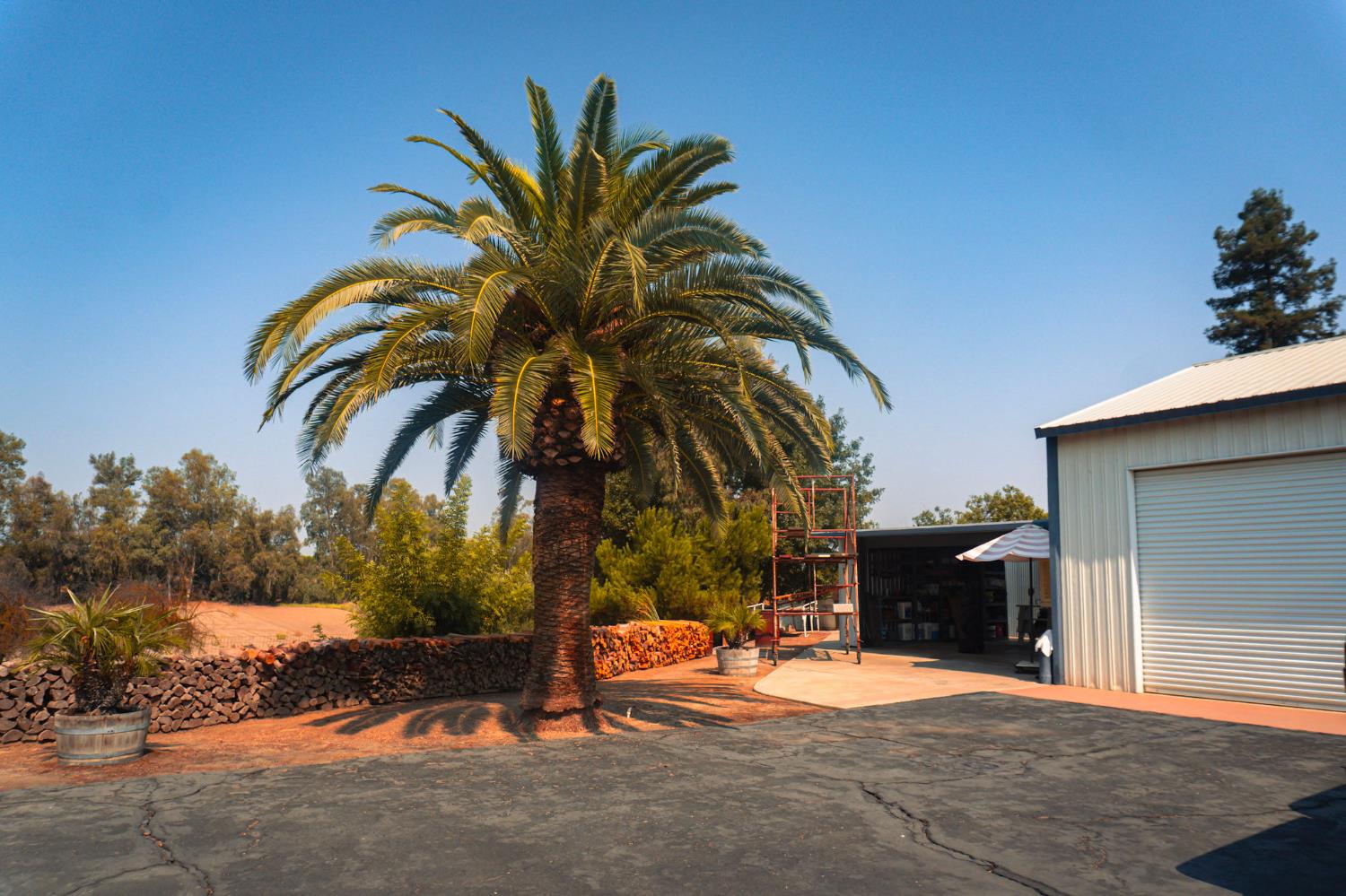 7315 S Kings River Rd, Parlier, CA 93648