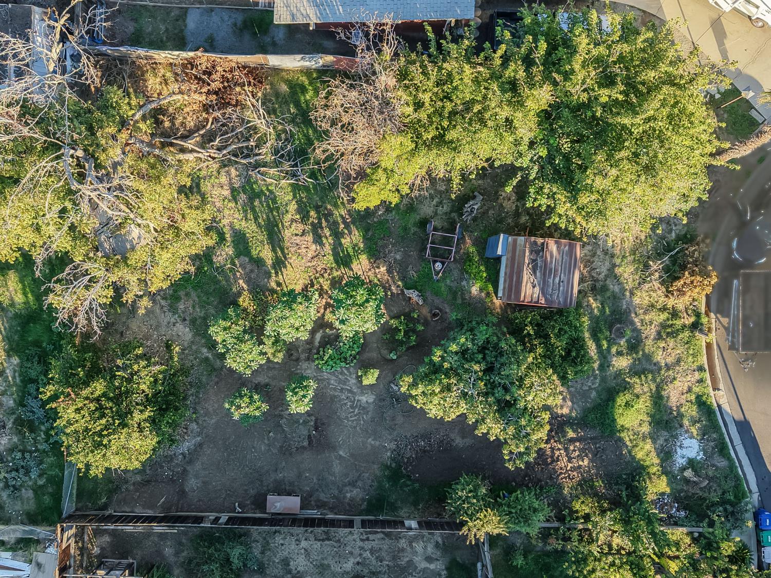 831 Rayser St, Kingsburg, CA 93631