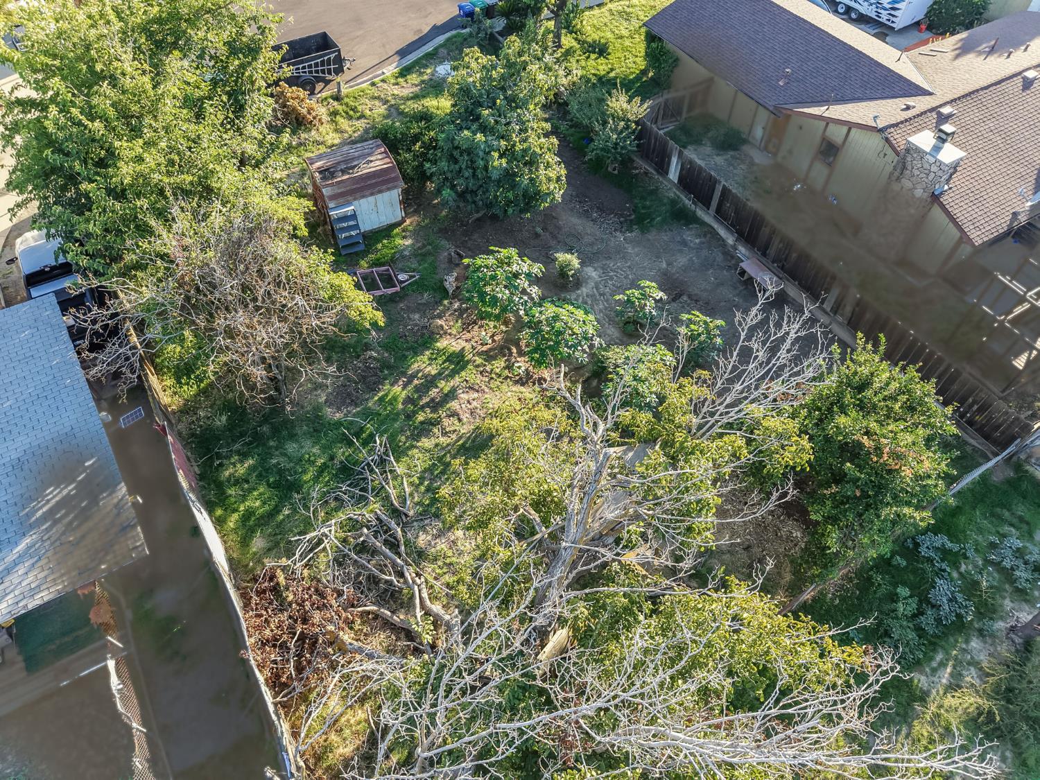 831 Rayser St, Kingsburg, CA 93631