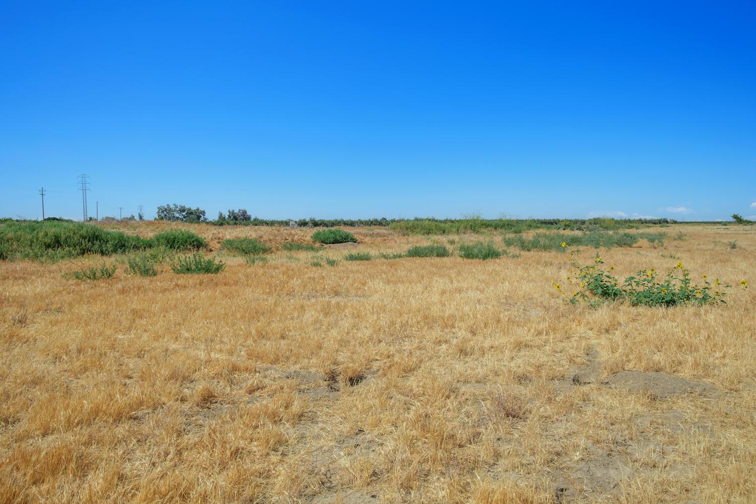 1188 7 1/2 Ave, Kingsburg, CA 93631