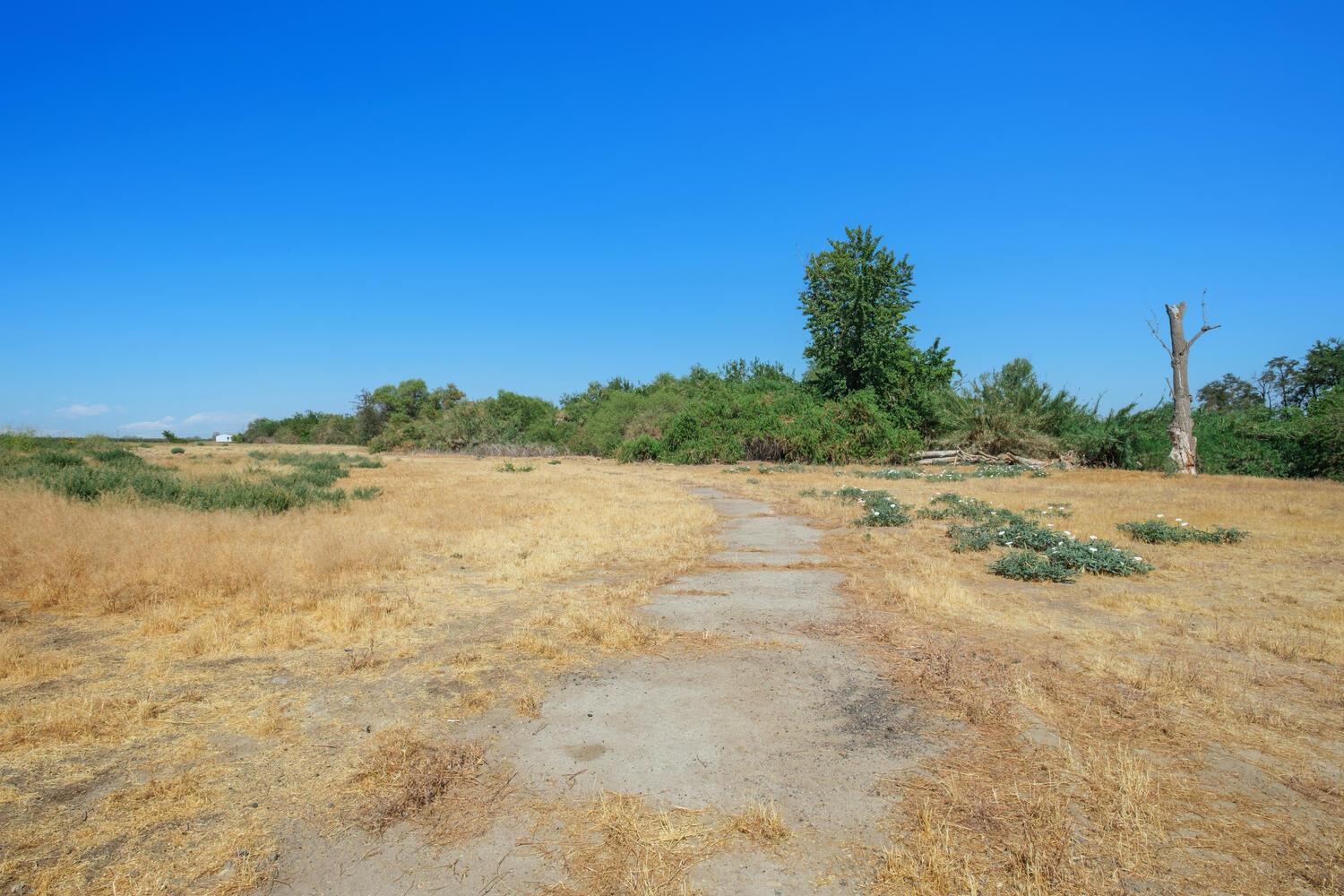 1188 7 1/2 Ave, Kingsburg, CA 93631