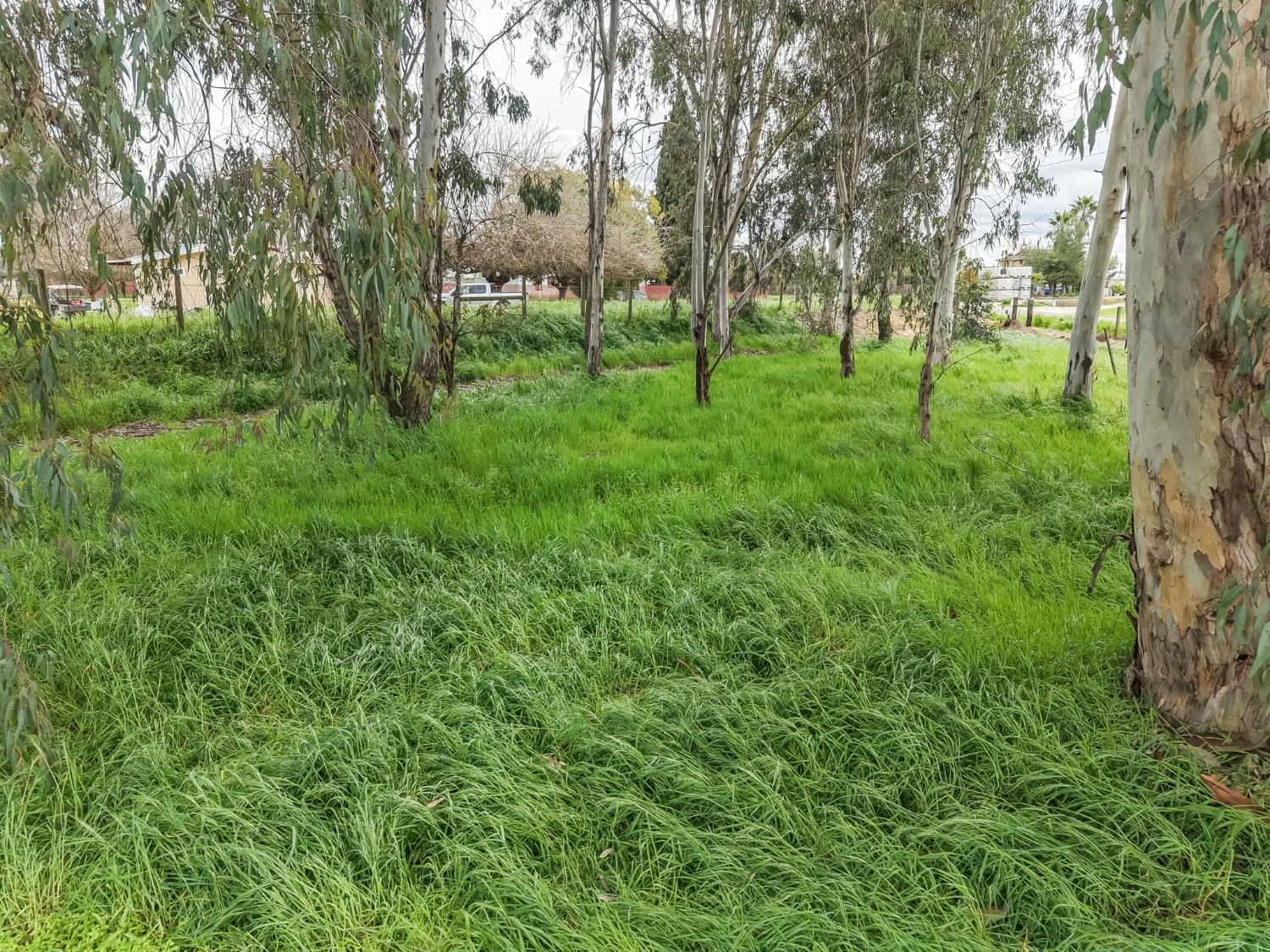 16036 S Del Rey Ave, Kingsburg, CA 93631