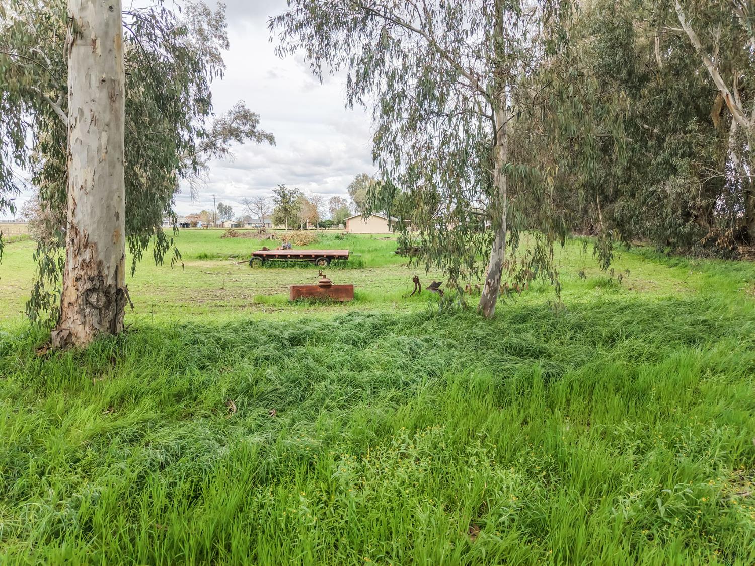 16036 S Del Rey Ave, Kingsburg, CA 93631