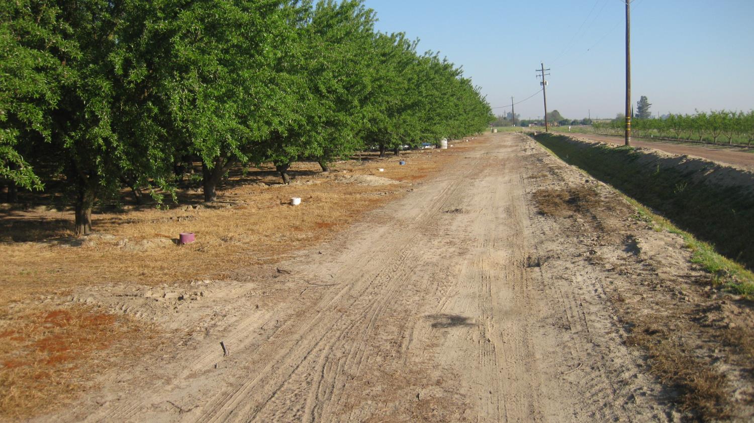 15270 S Mccall Ave, Kingsburg, CA 93631