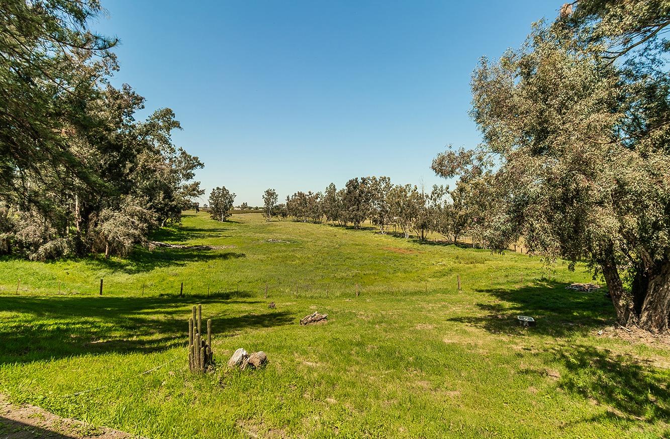 5221 S Reed Ave, Reedley, CA 93654