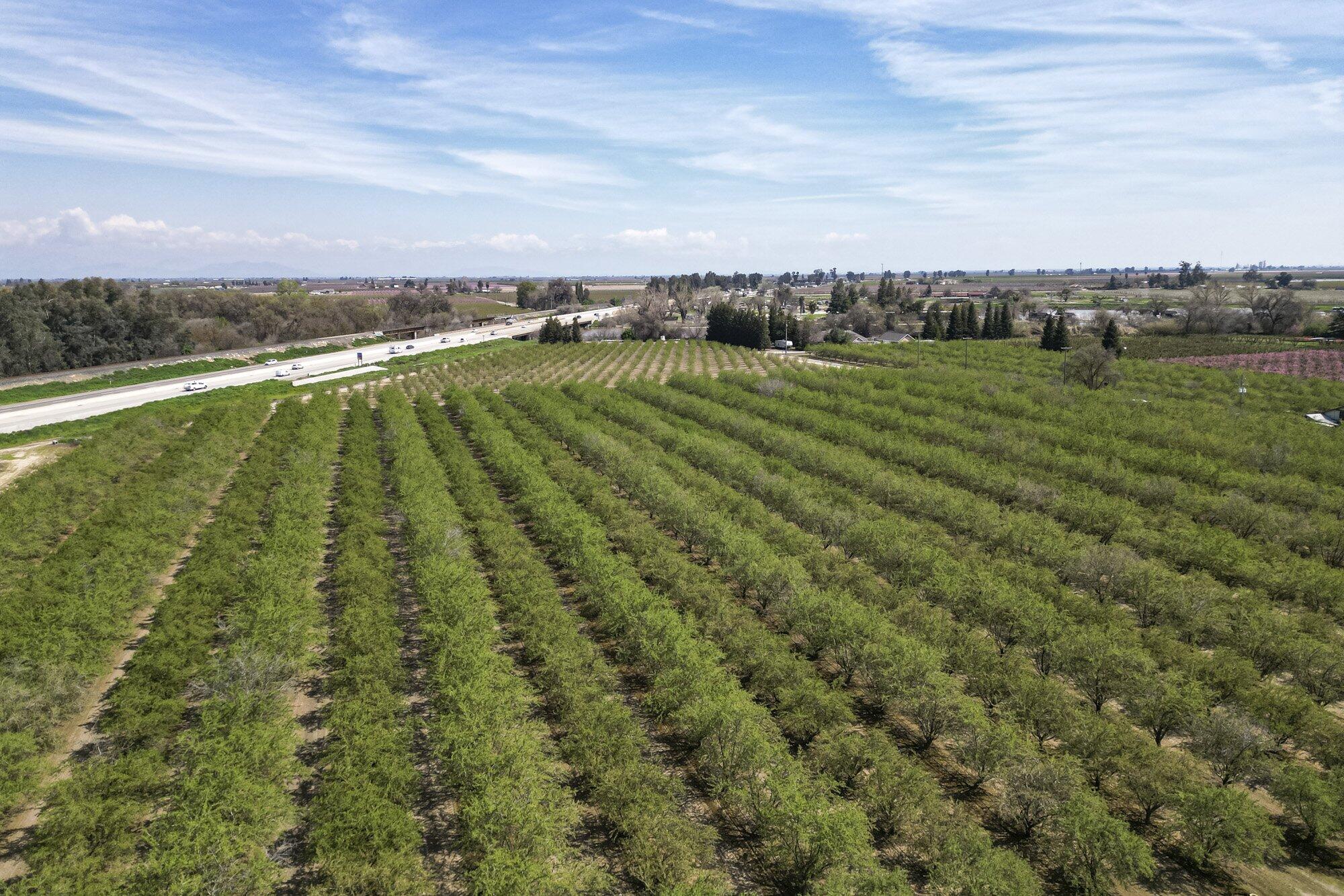 1710 Ave 388, Kingsburg, CA 93631